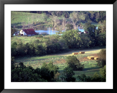 Tobacco Farm In Rural Tn by Dave Bartruff Pricing Limited Edition Print image