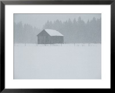 A Barn Behind A Fence In The Snow by Mattias Klum Pricing Limited Edition Print image
