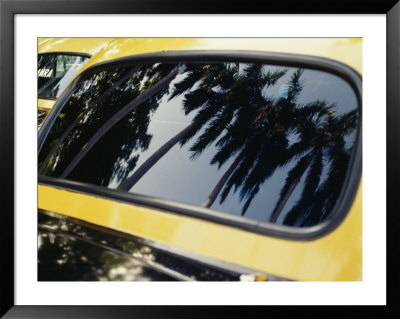 Reflections Of Palm Trees In The Window Of A Taxi by Eightfish Pricing Limited Edition Print image