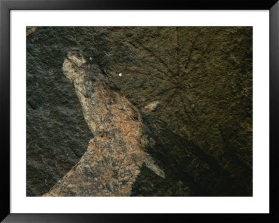 Close View Of A San Bushman Rock Painting Of An Elands Head by Kenneth Garrett Pricing Limited Edition Print image