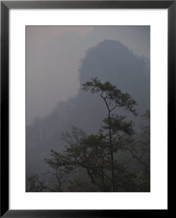 Mist-Shrouded Trees And Cliffs by Jodi Cobb Pricing Limited Edition Print image