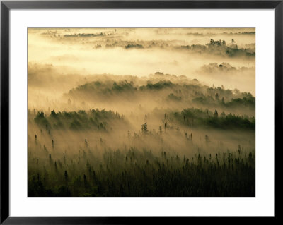 Early Morning Sunlight Beams Through The Fog That Shrouds The Boundary Waters by Raymond Gehman Pricing Limited Edition Print image