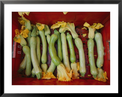 Squash, With Blossoms Still Attached, Lie In A Red Basket by Jodi Cobb Pricing Limited Edition Print image