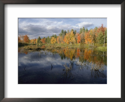 Autumn Foliage Reflected In A Pond Near Ossipee by Phil Schermeister Pricing Limited Edition Print image