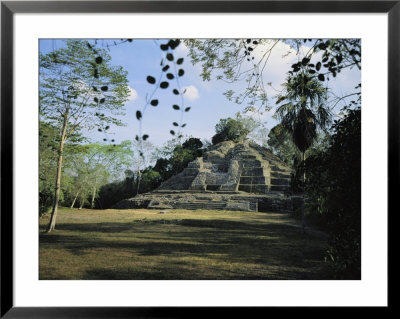 A Mayan Temple Ruin In Belize by Ed George Pricing Limited Edition Print image
