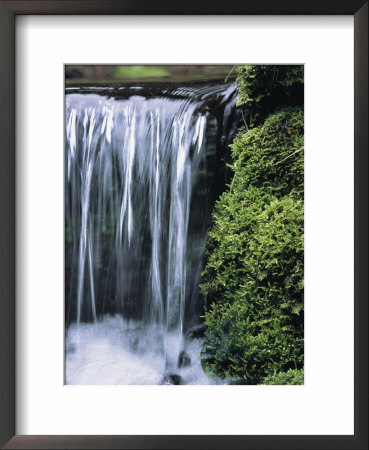 Moss Grows Alongside A Waterfall On Fern Creek by Marc Moritsch Pricing Limited Edition Print image
