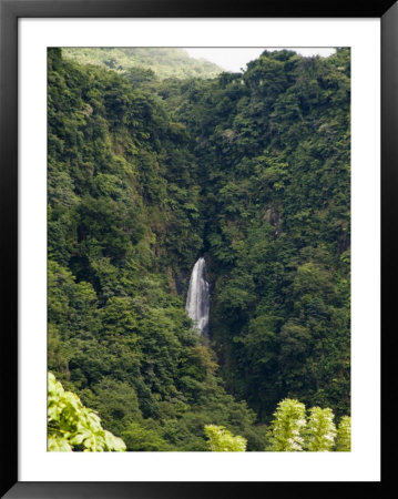 Trafalgar Falls From A Distance by Todd Gipstein Pricing Limited Edition Print image