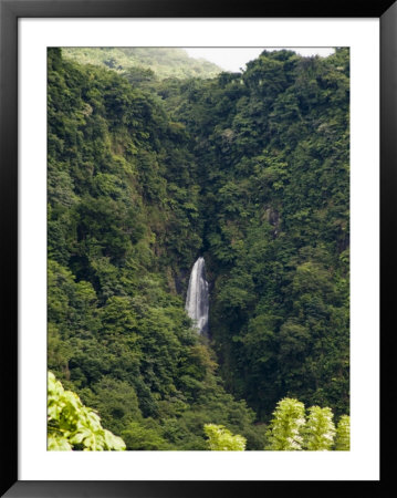 Trafalgar Falls From A Distance by Todd Gipstein Pricing Limited Edition Print image