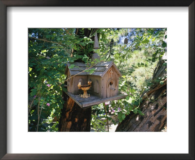 Church Bird House Hanging In A Tree, Sutter Creek, California by Gina Martin Pricing Limited Edition Print image
