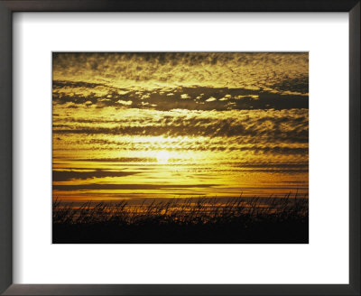 The Sun Sets Over A Cornfield by Paul Damien Pricing Limited Edition Print image