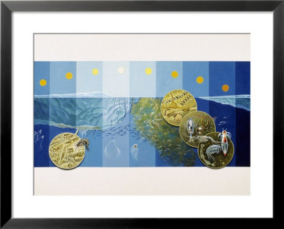 This Painting Shows The Growth Cycle Of Tiny Plants And Animals In Arctic Waters by Davis Meltzer Pricing Limited Edition Print image