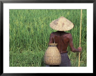 Fisherman In A Rice Field, Danang, Vietnam by Keren Su Pricing Limited Edition Print image