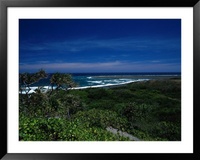 Sigatoka Sand Dunes Park, Viti Levu by Walter Bibikow Pricing Limited Edition Print image