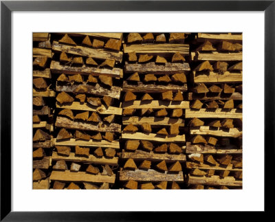 Pine Wood Stacks, Landes, Aquitania, France by Michele Molinari Pricing Limited Edition Print image