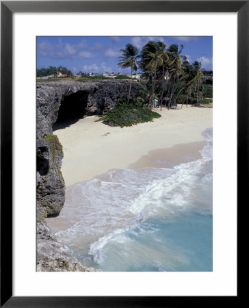 Palm Tree Lined Beach At Bottom Bay, Barbados, Caribbean by Greg Johnston Pricing Limited Edition Print image