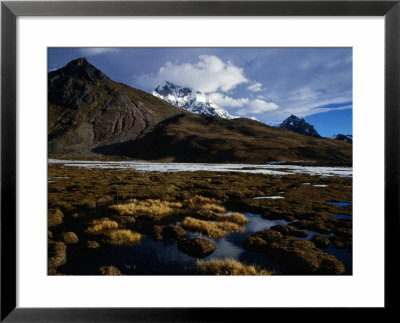 Marsh Near Laguna Comercocha With Summit Of Ausangate Behind, Cuzco, Peru by Grant Dixon Pricing Limited Edition Print image