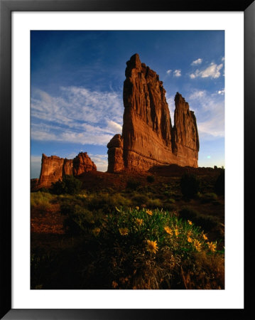 Courthouse Towers With Wildflowers In Foreground, Arches National Park, Usa by Carol Polich Pricing Limited Edition Print image
