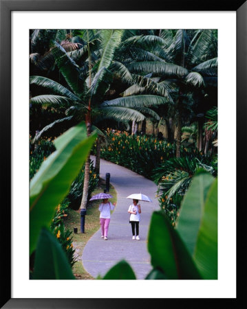 Women Walking In Singapore Botanic Gardens, Singapore, Singapore by Phil Weymouth Pricing Limited Edition Print image