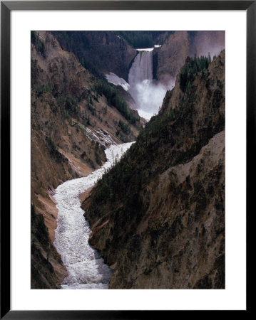 Lower Falls Of The Yellowstone River, Yellowstone National Park, Wyoming, Usa by Dee Ann Pederson Pricing Limited Edition Print image