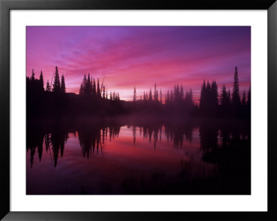 Base Of Mt. Rainier, Reflection Lake, Washington, Usa by Jerry Ginsberg Pricing Limited Edition Print image