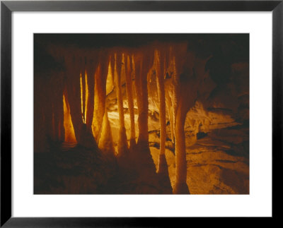 Ceiling Of Drapery Room Inside Mammouth Cave National Park, Kentucky, Usa by Jerry Ginsberg Pricing Limited Edition Print image