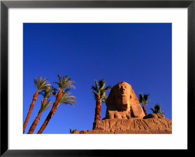 Date Palms Along The Avenue Of The Sphinxes, Luxor, Egypt by Anders Blomqvist Pricing Limited Edition Print image