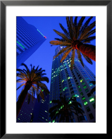 Citibank Center And Palm Trees From Below, Los Angeles, United States Of America by Richard Cummins Pricing Limited Edition Print image