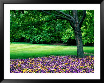 Garden At Cantigny Estate, Winfield, United States Of America by Richard Cummins Pricing Limited Edition Print image