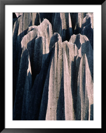 Stone Forest,Kunming, Yunnan, China by Keren Su Pricing Limited Edition Print image