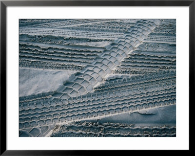 4Wd Tyre Tracks On Sand, Fraser Island, Queensland, Australia by Tony Wheeler Pricing Limited Edition Print image