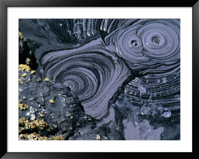 Bubbling Mud Pot In Bumpass Geothermal Area, Lassen Volcanic National Park, U.S.A. by Ruth Eastham Pricing Limited Edition Print image