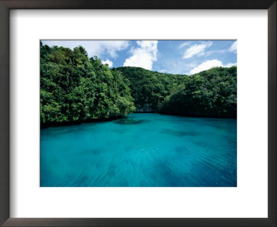 A Tropical Scene by Heather Perry Pricing Limited Edition Print image