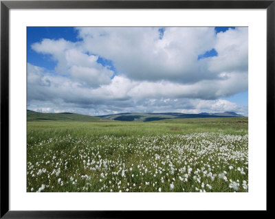 Clouds Over A Green Landscape by Sisse Brimberg Pricing Limited Edition Print image