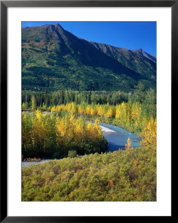 Mts And Trees In Autumn, Denali National Park, Ak by Hal Gage Pricing Limited Edition Print image