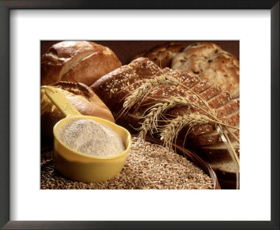 Wheat And Wheat Products by Carol & Mike Werner Pricing Limited Edition Print image