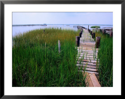 Shoreline And Dock, Chincoteague Island by Mark Gibson Pricing Limited Edition Print image