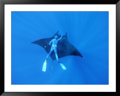 Diver Holds On To Giant Manta Ray, Mexico by Jeff Rotman Pricing Limited Edition Print image