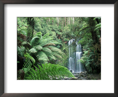 Triplet Falls, Victoria, Australia by Peter Adams Pricing Limited Edition Print image