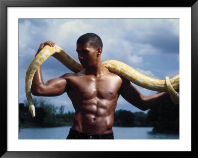 A Man Holding A Yellow Python by Peter Langone Pricing Limited Edition Print image