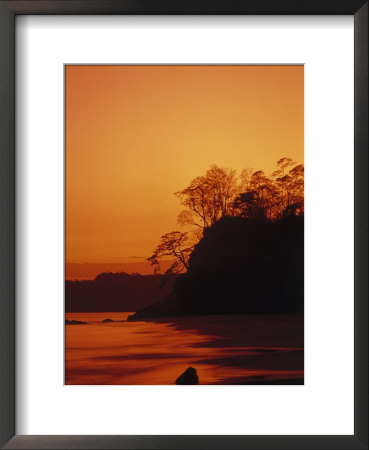 Pacific Coast Rain Forest At Dusk, Costa Rica by Robert Houser Pricing Limited Edition Print image