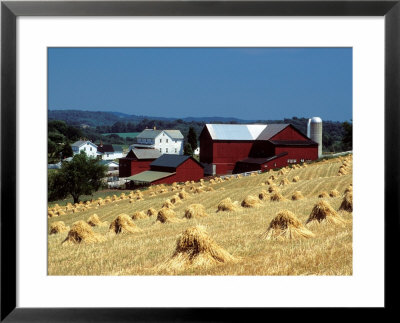 Amish Farm With Sheaves Of Wheat by David M. Dennis Pricing Limited Edition Print image