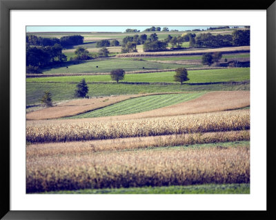 Hollandale, Farm View, Wisconsin by Walter Bibikow Pricing Limited Edition Print image