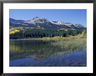 Mountains Reflected In Lost Lake, Crested Butte, Colorado, Usa by Cindy Miller Hopkins Pricing Limited Edition Print image