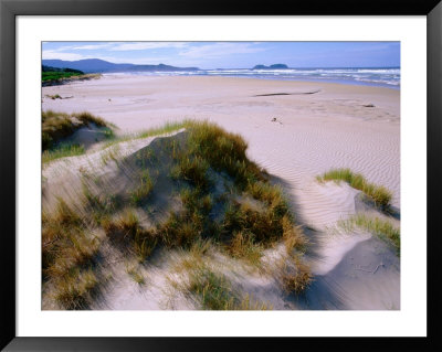Deserted Beach On The South Coast, South West National Park, Tasmania, Australia by Grant Dixon Pricing Limited Edition Print image