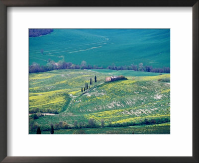 Classic Tuscan Scenery On Outskirts Of Historic Town Of Pienza, Pienza, Italy by Glenn Beanland Pricing Limited Edition Print image