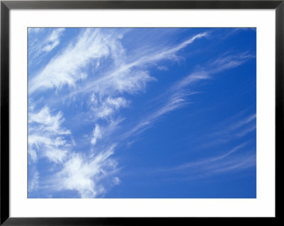 Whispy Stark White Cirrus Clouds In A Vast Blue Sky, Australia by Jason Edwards Pricing Limited Edition Print image