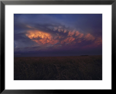 Wheat Field And Cloudy Sky, Kansas by Brimberg & Coulson Pricing Limited Edition Print image