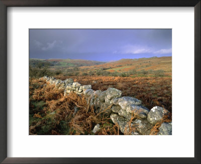 Dry Stone Wall, Autumnal Scene Near Haytor, Dartmoor National Park, Devon, England, Uk, Europe by Lee Frost Pricing Limited Edition Print image