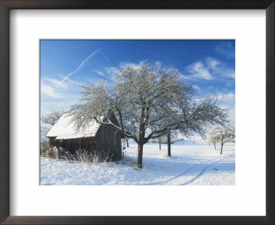 Barn And Apple Trees In Winter, Weigheim, Baden-Wurttemberg, Germany, Europe by Jochen Schlenker Pricing Limited Edition Print image