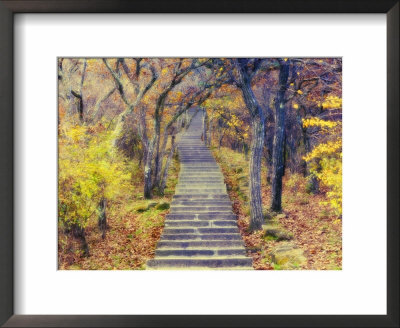 Footpath Through Mountain Forest, Huang Shan, Unesco World Heritage Site, Anhui Province, China by Jochen Schlenker Pricing Limited Edition Print image